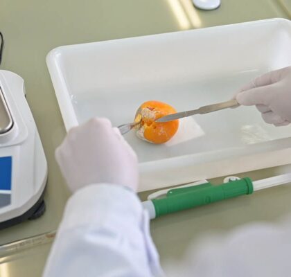 Dietética – FP Barakaldo LH-8 Dietética - FP Barakaldo LH-8